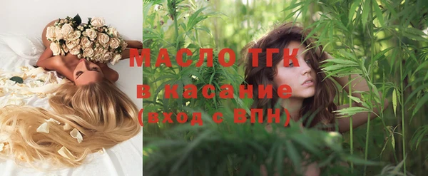 молекула духа Верхний Тагил