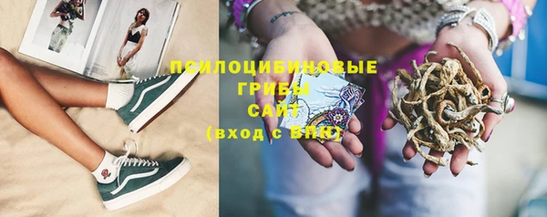 молекула духа Верхний Тагил