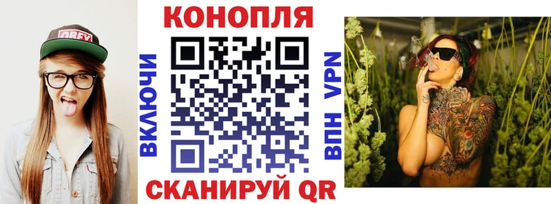 Купить закладки  Калининград  Бошки Шишки White Widow 